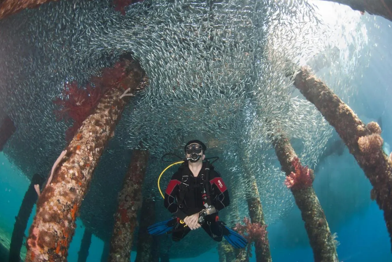 *** Nocleg ze śniadaniem Aqaba Adventure Divers Resort & Dive Center Jordania