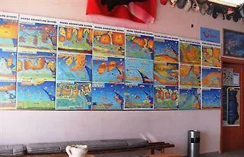 *** Bed & Breakfast Aqaba Adventure Divers Resort & Dive Center Jordan